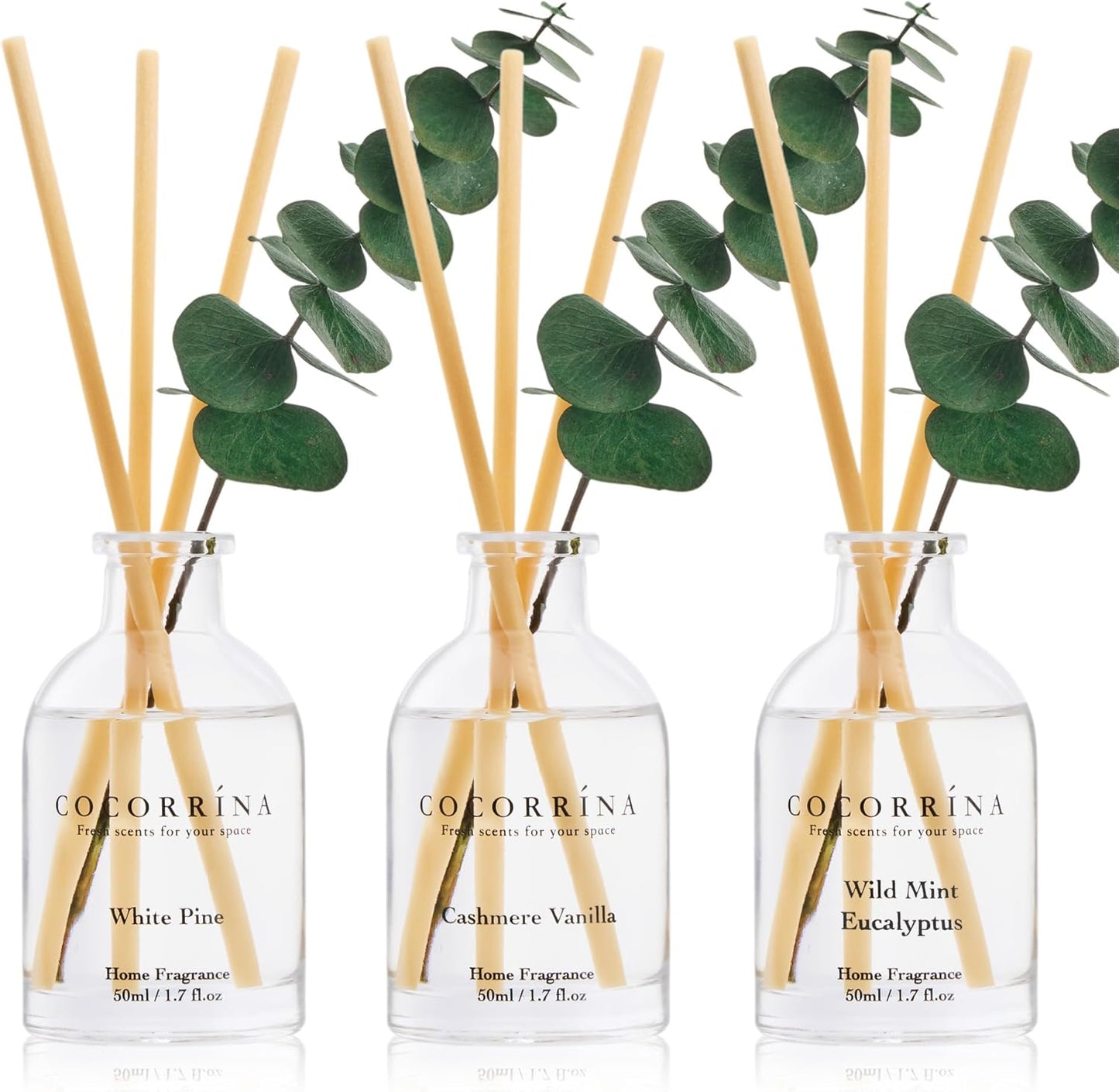 COCORRÍNA Eucalyptus Reed Diffuser Set of 3 - Eucalyptus & Moss, Clean Linen, Ocean Mist Scents, 1.7 fl oz Each, Total 5.1 oz, Scented Oil Diffusers for Home & Office