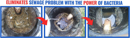 DrainFix & Septic Restorer – 32 oz Enzyme Septic Tank Treatment & Drainfield Restoration – Organic Drain Cleaner for Sewer Lines, RV & Home Plumbing – Safe for Pipes & Septic Systems