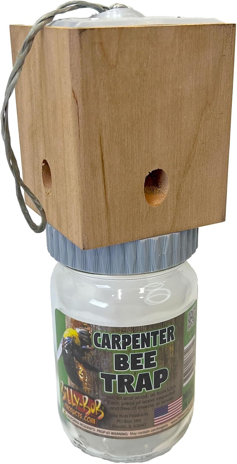 Billy Bob Carpenter Bee Trap - Made in the USA - Solid Wood Top - Outdoor Insect Trap for Carpenter Bees - Old Fashioned Mason Jar Design