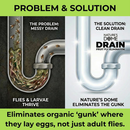 Nature’s Dome Drain Fly Killer Gel | Kills & Prevents Drain Flies & Fruit Flies | Natural Plant-Based Fly Killer Treatment Indoor for Sinks & Pipes | Safe for Septic Systems | 32 Oz