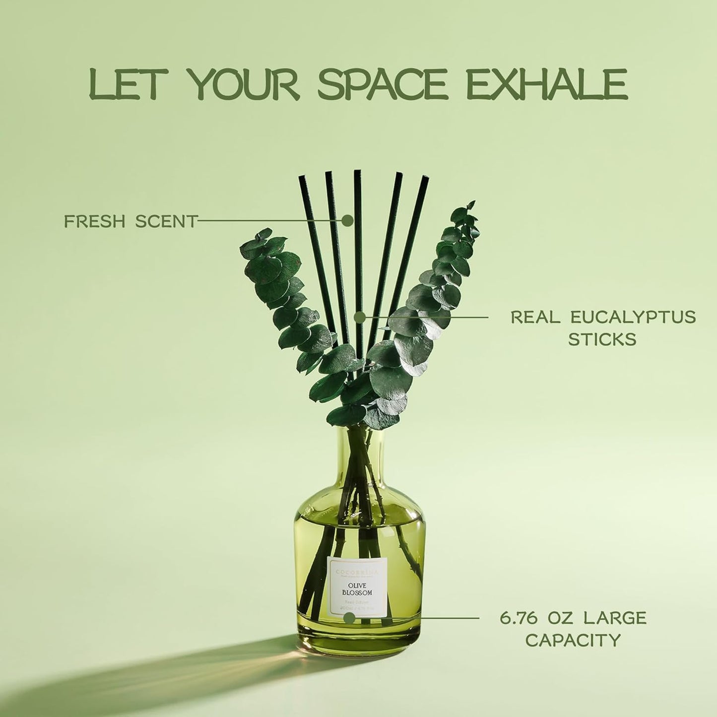 COCORRÍNA Wild Mint & Eucalyptus Reed Diffuser – 6.76 oz Essential Oil with 8 Reeds & Real Eucalyptus Sticks, Home Fragrance for Bedroom or Bathroom Décor