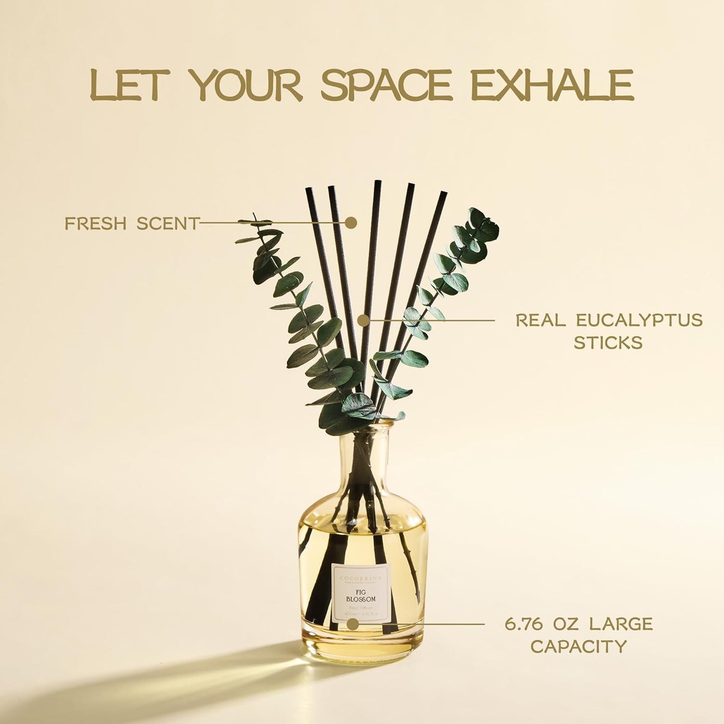 COCORRÍNA Wild Mint & Eucalyptus Reed Diffuser – 6.76 oz Essential Oil with 8 Reeds & Real Eucalyptus Sticks, Home Fragrance for Bedroom or Bathroom Décor