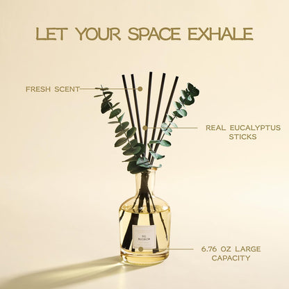 COCORRÍNA Wild Mint & Eucalyptus Reed Diffuser – 6.76 oz Essential Oil with 8 Reeds & Real Eucalyptus Sticks, Home Fragrance for Bedroom or Bathroom Décor
