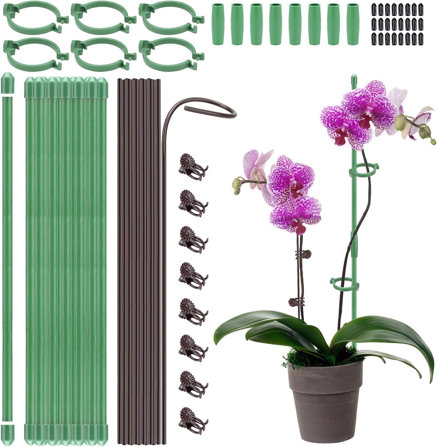 20 Set Plant Stakes 12 inch Extendable Plant Support Stakes with Adjustable Clips Rings, Flower Stem Plant Support Sticks for Indoor Outdoor Plants Stabilizer Garden Sticks for Orchid Rose Tomato