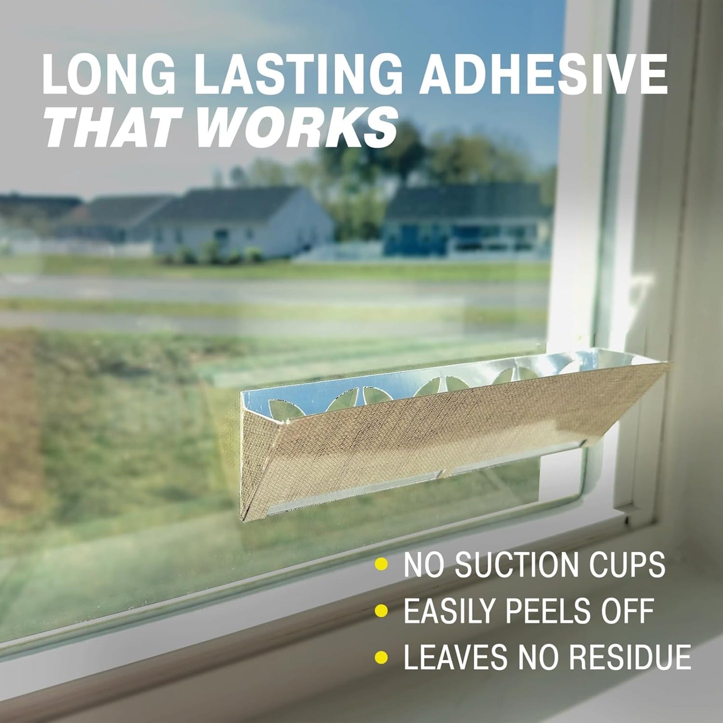 Catchmaster Window Fly Traps 12-Pack, Designed to Disguise House & Fruit Fly, Gnats, Adhesive Strips for Indoor, Disposable Bug Catcher, Insect Sticky Glue Traps, Pest Control for Home & Kitchen