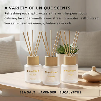 Reed Diffuser Set of 3, Binca Vidou Lavender, Eucalyptus & Sea Salt Natural Scent Oil Diffusers with Sticks for Home Office Bathroom Aromatherapy Decor 1.69oz x 3