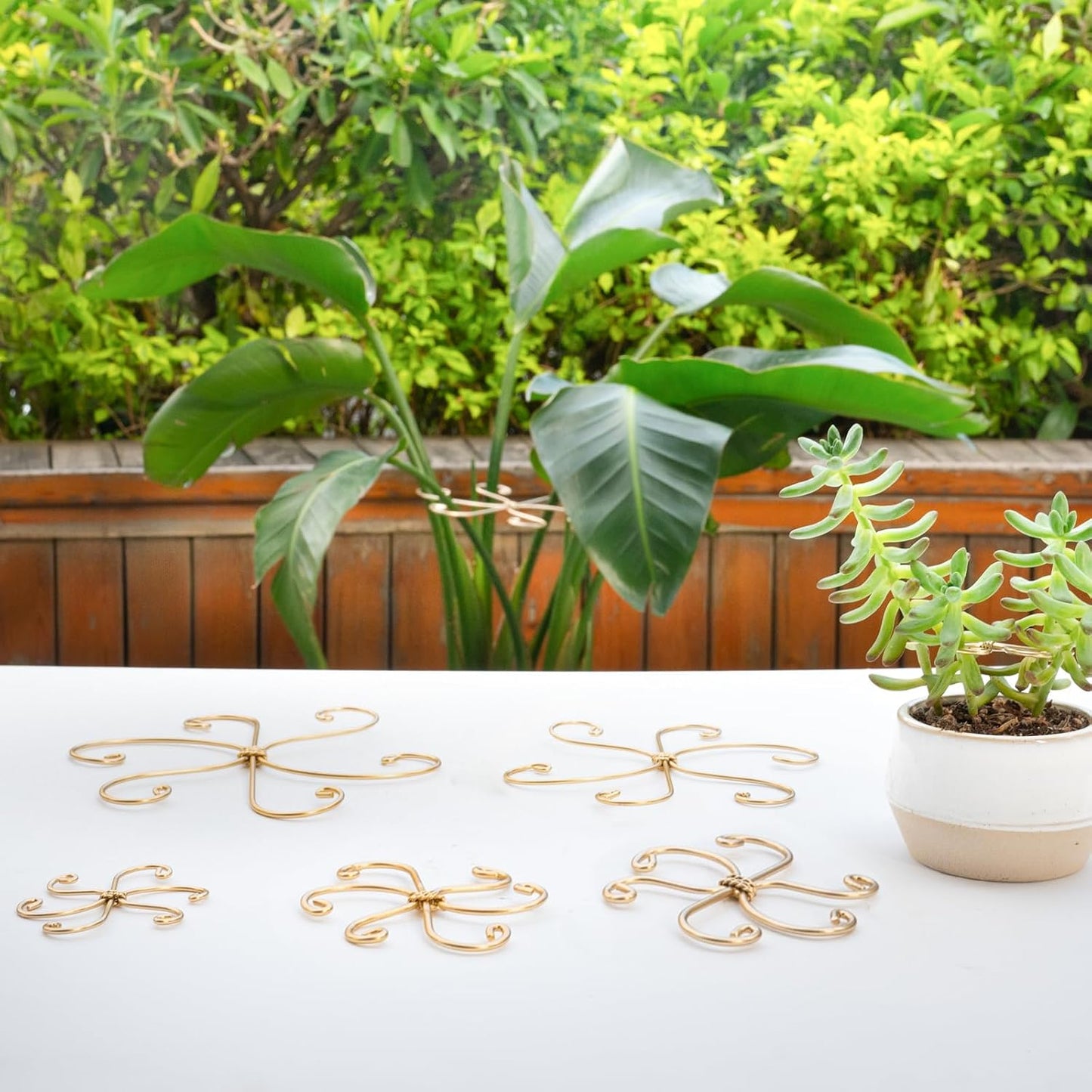 5PCS Monstera Plant Stem Support Stakes - 5.5 * 5.5IN Metal Supports for Monstera and Fishbone Cactus, Sturdy Frame, Easy Installation, Flexible Protection for Healthy Growth Indoors