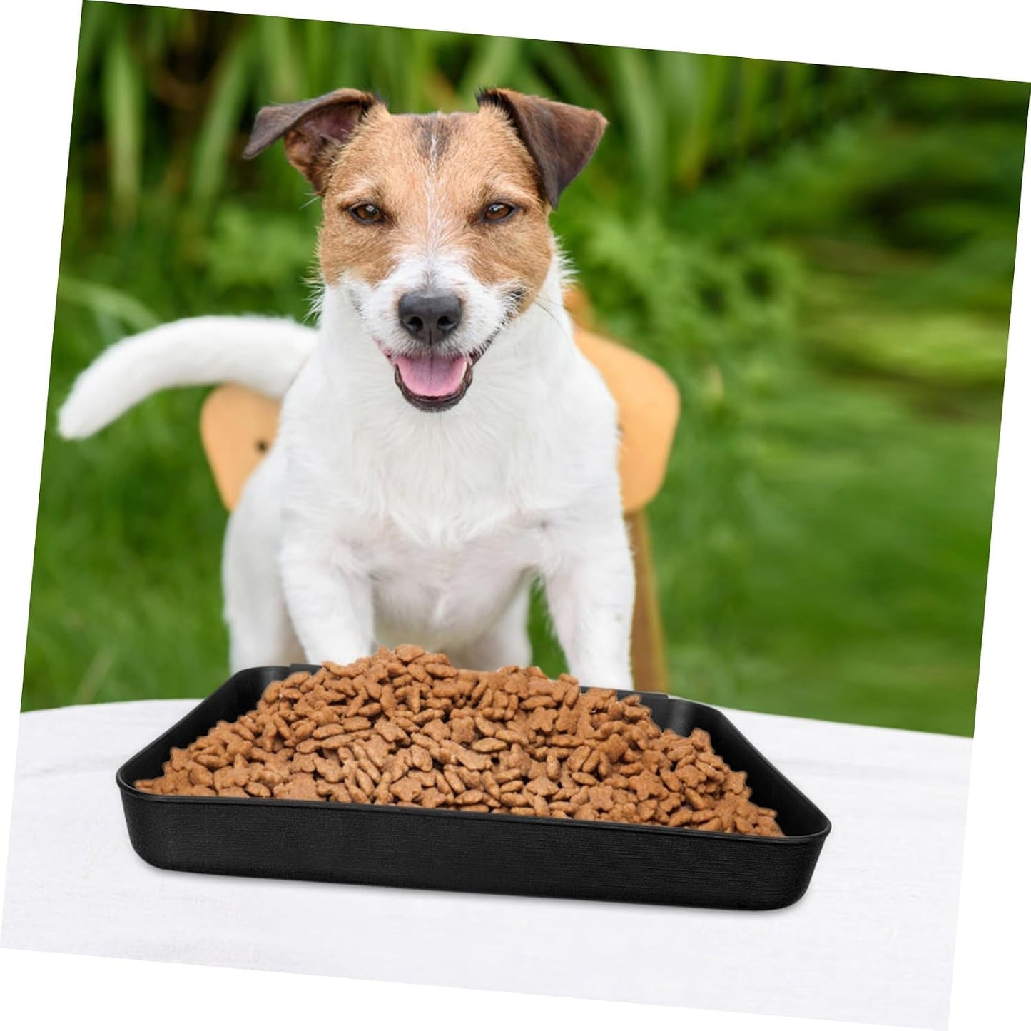LALAFINA Waterproof Shoe Storage Tray Multi-Functional Plastic Boot Mat for Pets and Plants Easy to Clean Sundries Organizer for Home and Car