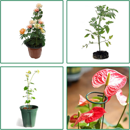 PFNRTH 4 Pack Plant Stakes,Plant Support Stakes for Two Sizes(16 or 32 Inches),Plant Stakes for Outdoor Plants,Garden Flower,Tomato(Green)