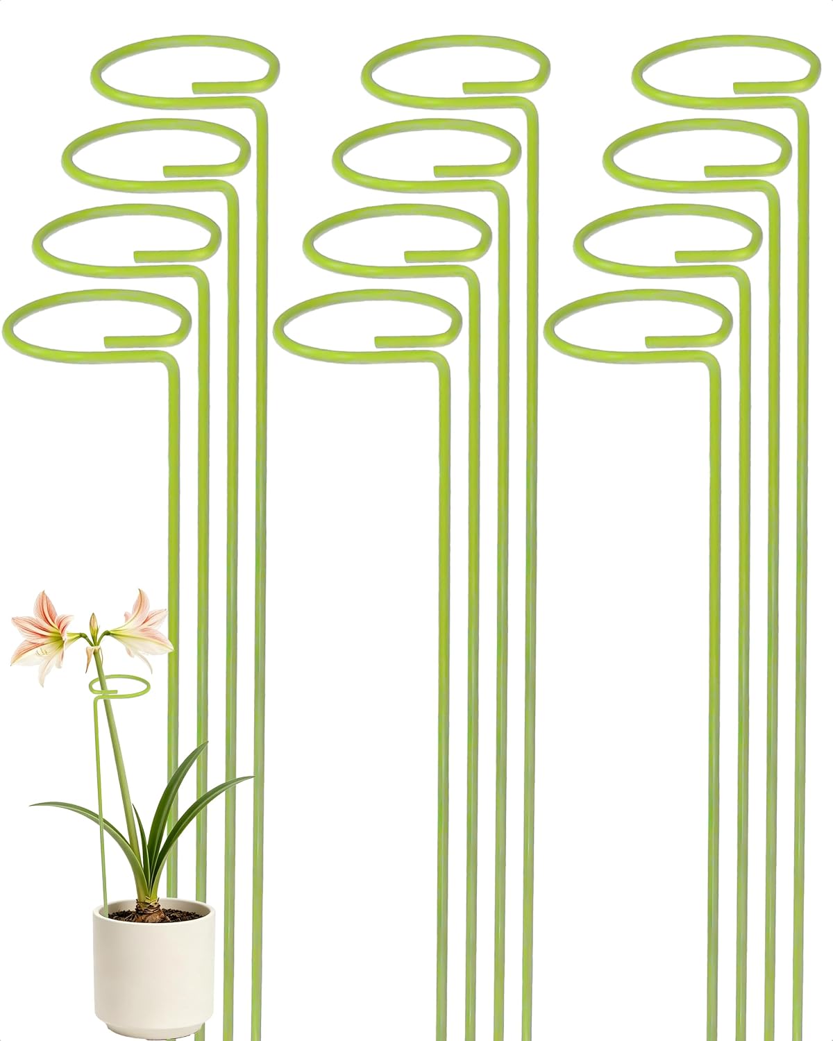 12-Pack Plant Support Stakes for Indoor Plants, Monstera Plant Support & Tall Sticks, Heavy Duty Adjustable 15.8-Inch Garden Stakes for Amaryllis, Snake Plant, Indoor Outdoor Use