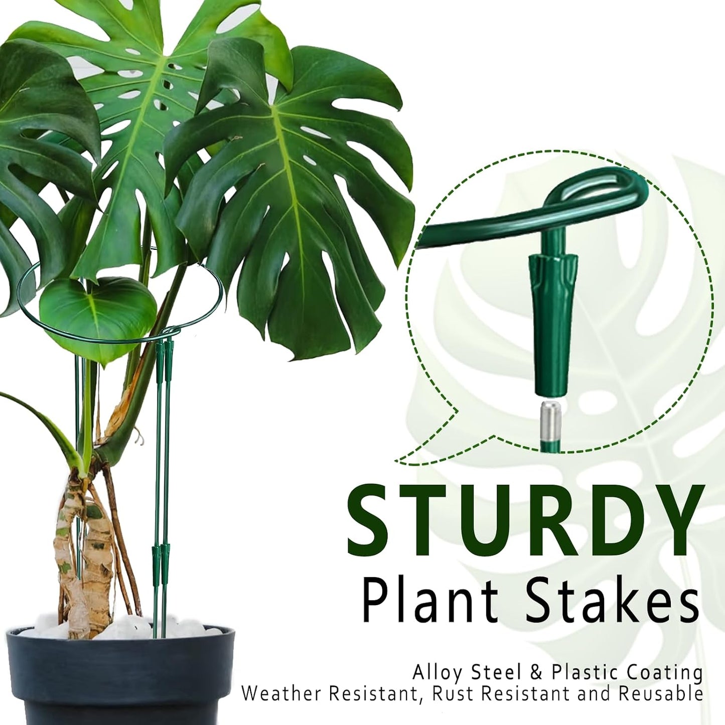 6 Pack Detachable & Assemblable Metal Plant Support Stakes - Garden Support Ring, Tomato Seedling Cage, Young Monstera/Pothos for Growing Indoor/Outdoor (10" W x 16" H)