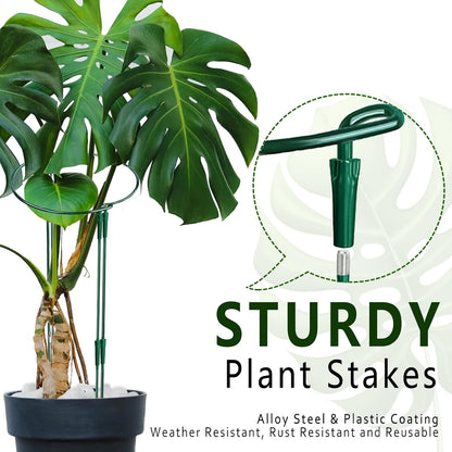 6 Pack Detachable & Assemblable Metal Plant Support Stakes - Garden Support Ring, Tomato Seedling Cage, Young Monstera/Pothos for Growing Indoor/Outdoor (10" W x 16" H)