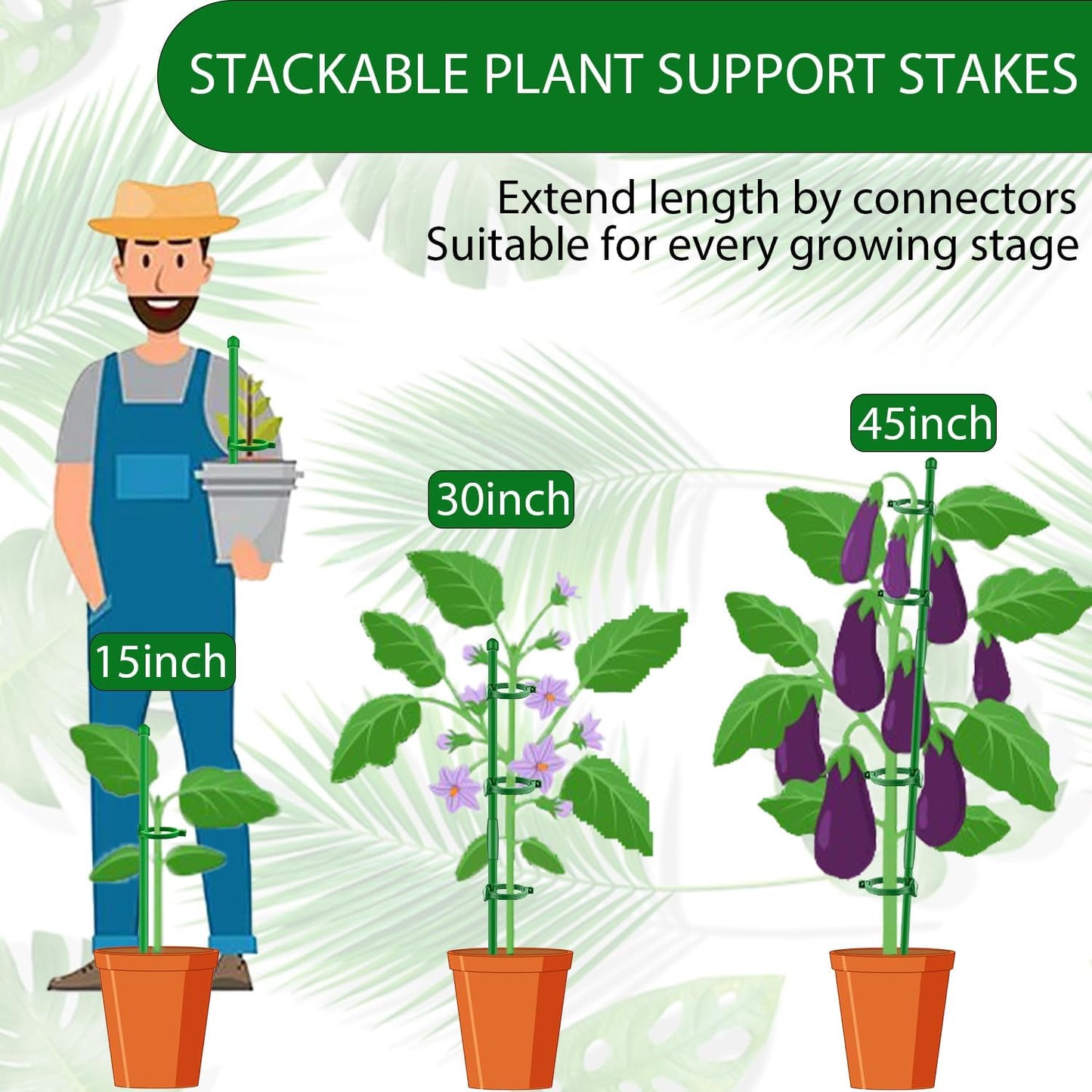10pcs 15 inch Plant Support Stakes for Indoor Plants | Garden Orchid Sticks Extended to 3ft 4ft 5ft Plant Suport Stakes with Clips for Monstera Tomato Orchid Potted Plants Flower