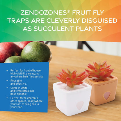 ZendoZones Succulent Fruit Fly Trap – Dark Green Design with Terracotta Base – Eco-Friendly Indoor Fruit Fly Control – Easy-to-Use Decorative Trap | Eco-Friendly Lure; Decorative Dark Green Succulent Design; Refillable; Terra Cotta Base; Easy to Use