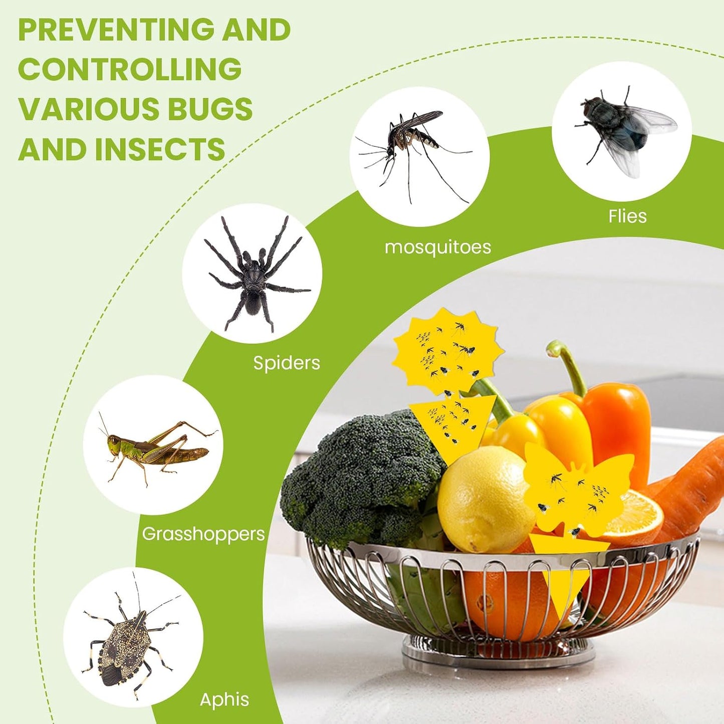 Fruit Fly Traps for Indoors Gnat Killer for House Outdoor Sticky Traps | Eco-Friendly Material, No Chemical Additives, Waterproof, UV Resistant, Protects Plants, Perfect for Plant Lovers 36pcs