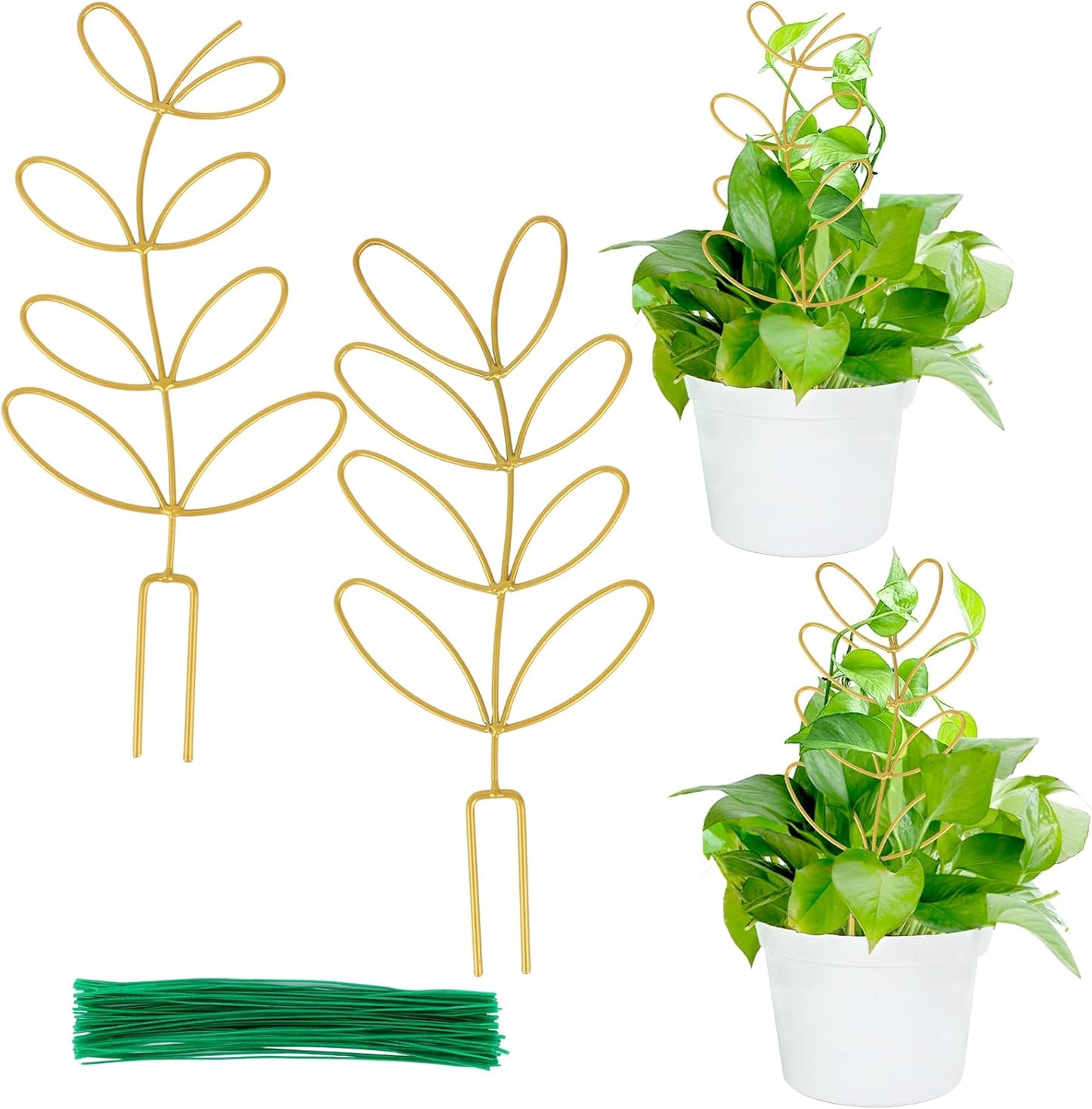 AUGSUN 2 Packs Plant Trellis Garden Trellis Plant Stakes Trellis | for Climbing Plants, Indoor Plants Metal Leaf Shape, Plant Support for Houseplants, with 50 Ties Plant Lover Gift (Green)