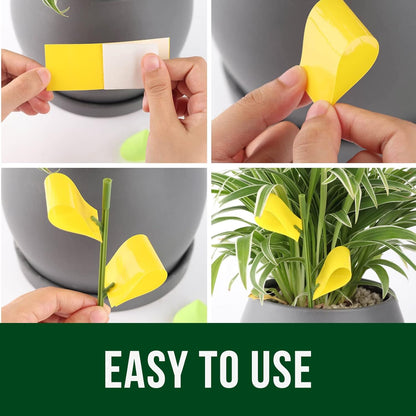 Garsum Fruit Fly Sticky Trap for Indoor and Outdoor, 36 Pack Fungus Gnat Killer for Houseplant,Mosquitos, Flying Insect, White Flies