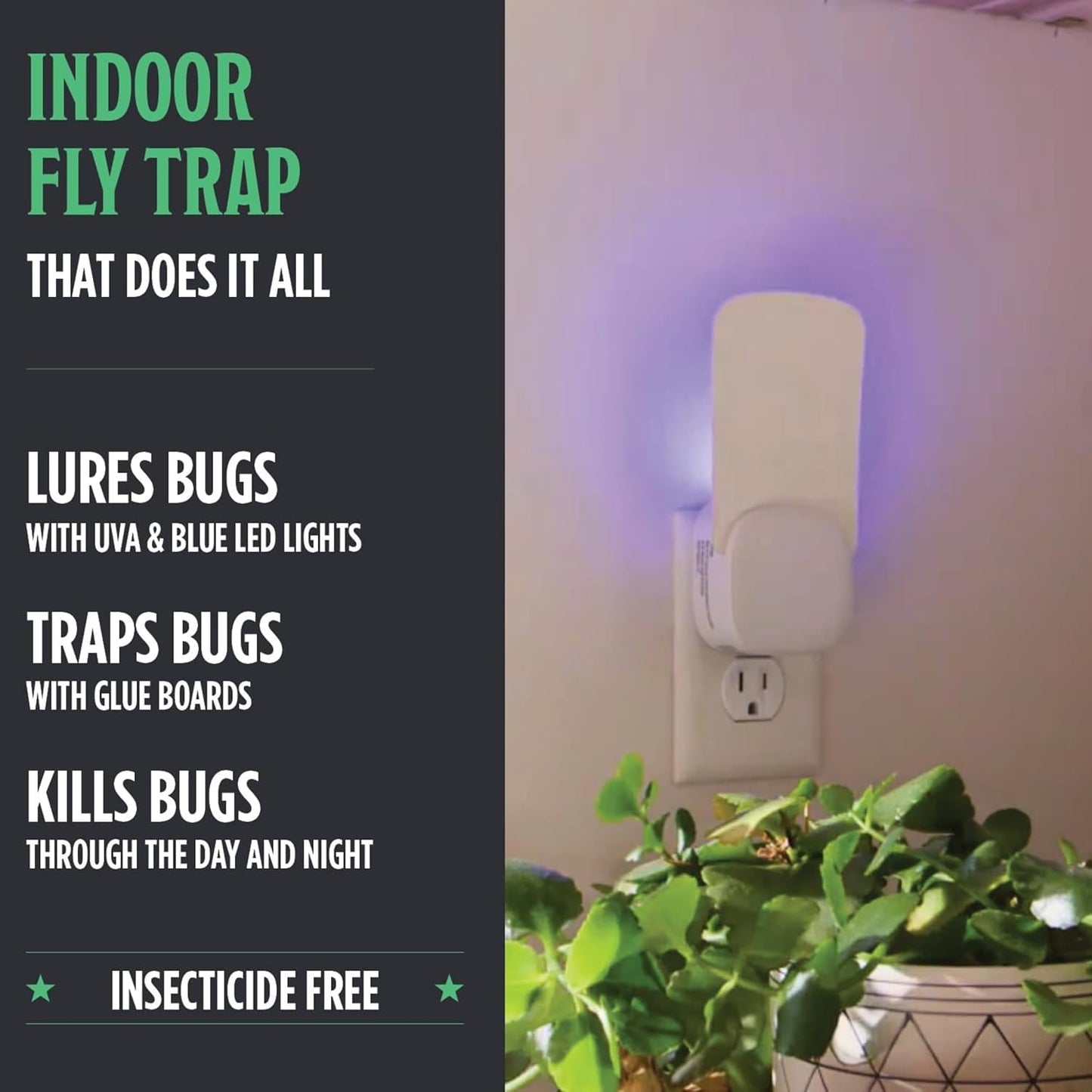 Grandpa Gus’s Indoor Fly Trap Plug-In - UV Light Insect Catcher for Flies, Gnats, Fruit Flies, Mosquitoes & Moths - No Insecticides, Sticky Glue Trap for Kitchen, Garage, Includes 3 Refill Glue Boards