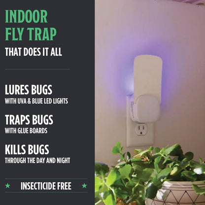 Grandpa Gus’s Indoor Fly Trap Plug-In - UV Light Insect Catcher for Flies, Gnats, Fruit Flies, Mosquitoes & Moths - No Insecticides, Sticky Glue Trap for Kitchen, Garage, Includes 3 Refill Glue Boards