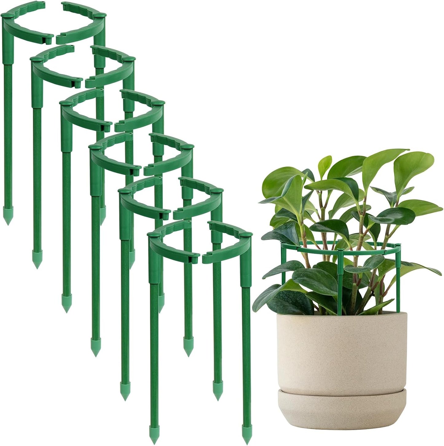 12 Pack Plant Support Stakes, 6.3 x 5.9 Inch Plastic Plant Cage Holders | Half Round Plants Support, Garden Flower Stakes, for Indoor Outdoor Climbing Plants Vegetable Flower Pot