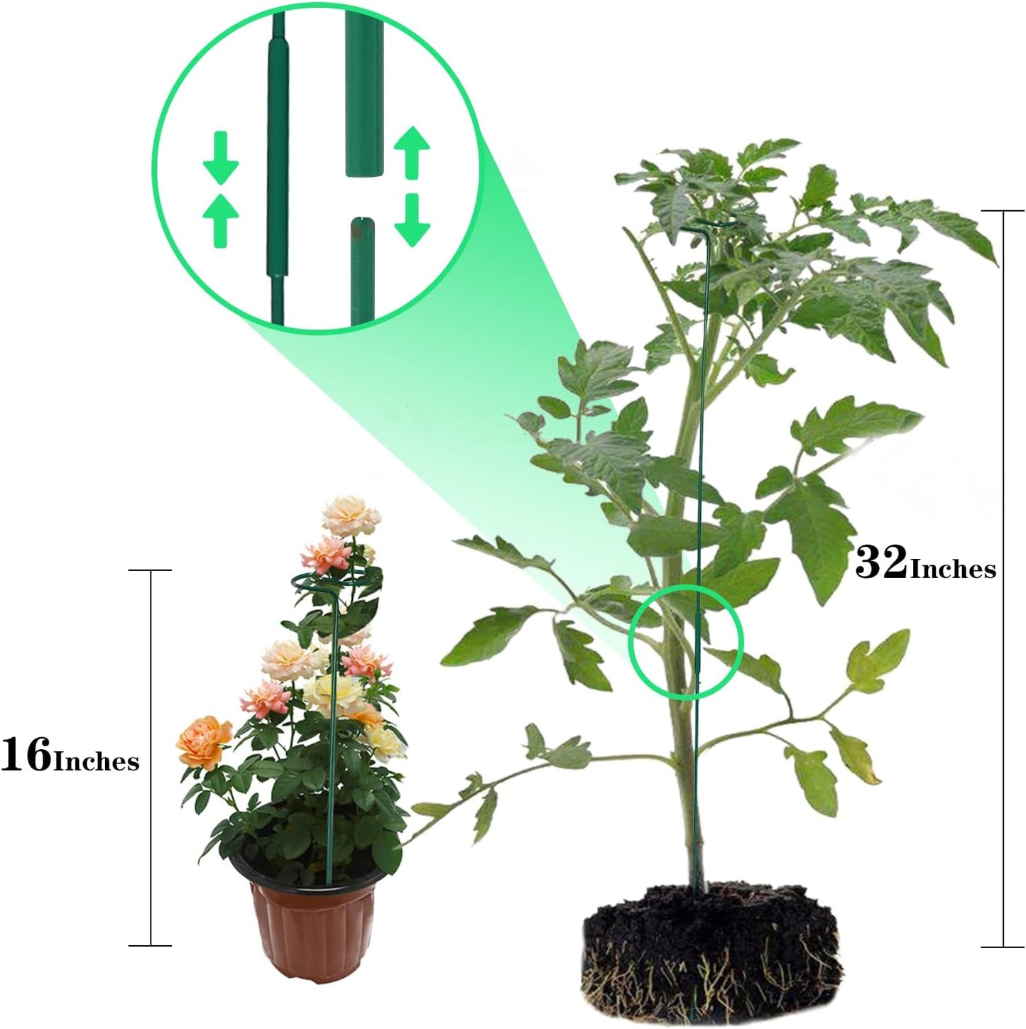 PFNRTH 4 Pack Plant Stakes,Plant Support Stakes for Two Sizes(16 or 32 Inches),Plant Stakes for Outdoor Plants,Garden Flower,Tomato(Green)