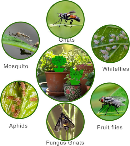 Fruit Fly Traps, 100 Pack Yellow Sticky Traps, Fungus Gnat Traps, Plant Fly Stickers for Indoor and Outdoor Use Protect The Plant