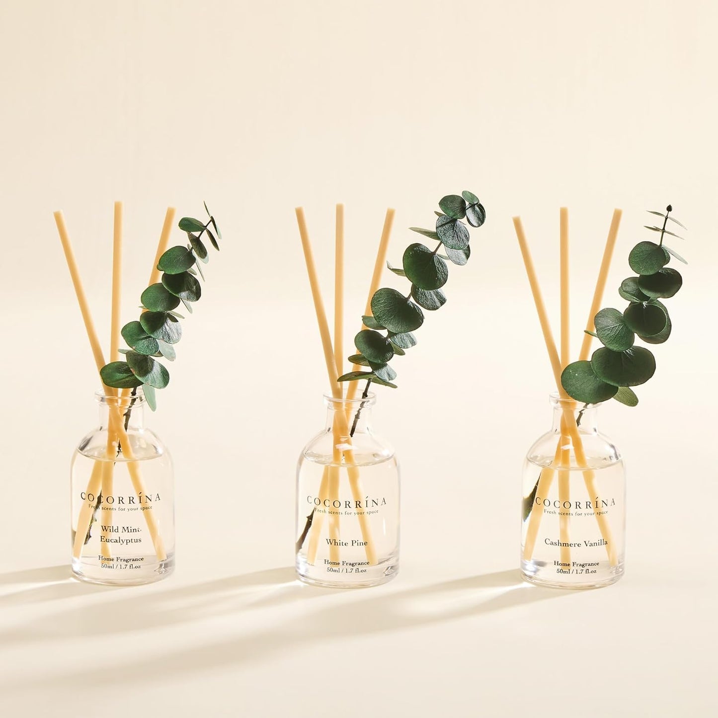 COCORRÍNA Eucalyptus Reed Diffuser Set of 3 - Eucalyptus & Moss, Clean Linen, Ocean Mist Scents, 1.7 fl oz Each, Total 5.1 oz, Scented Oil Diffusers for Home & Office