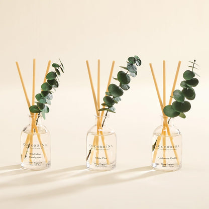 COCORRÍNA Eucalyptus Reed Diffuser Set of 3 - Eucalyptus & Moss, Clean Linen, Ocean Mist Scents, 1.7 fl oz Each, Total 5.1 oz, Scented Oil Diffusers for Home & Office
