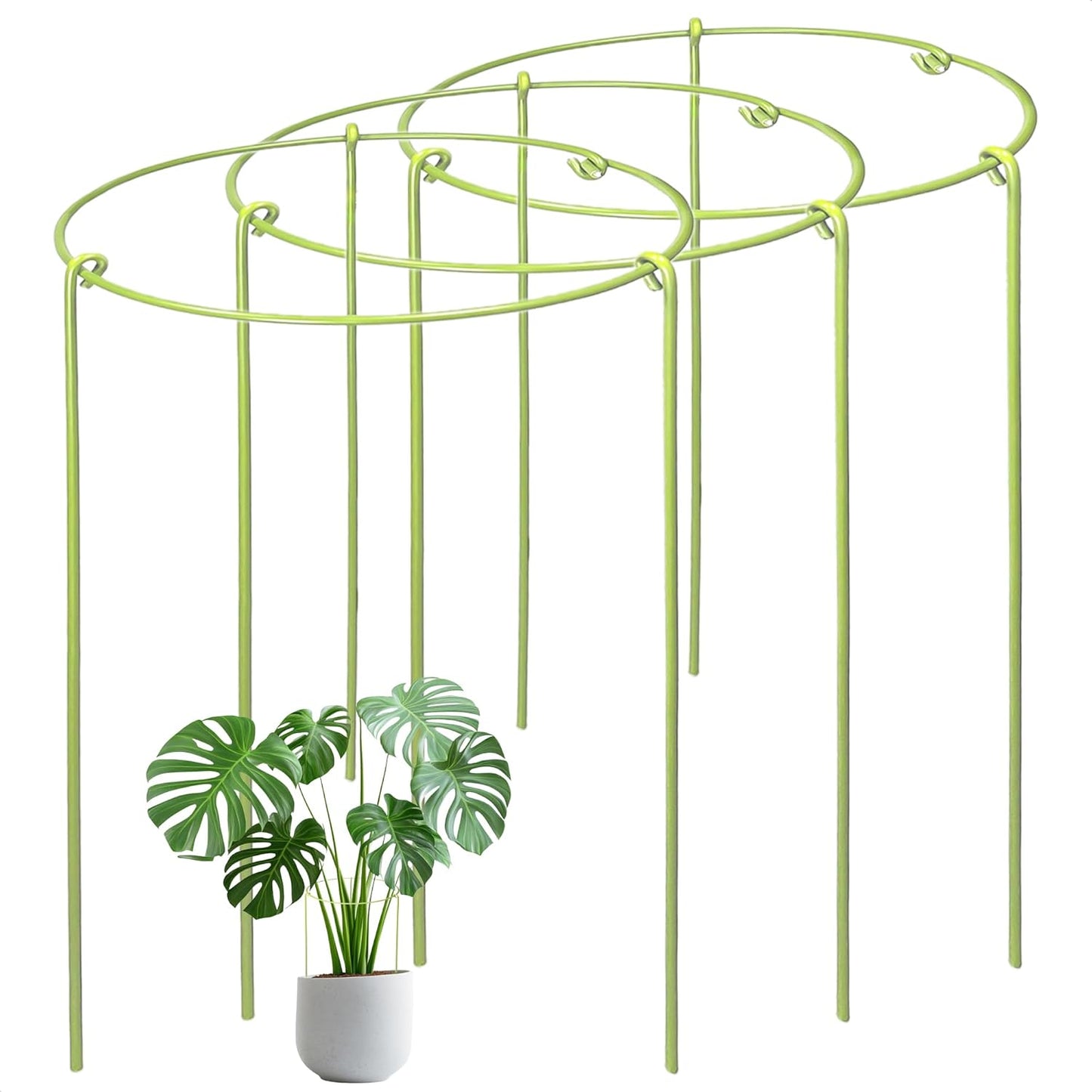 6-Pack Heavy Duty Plant Stakes and Supports for Indoor Outdoor Plants, Metal Support Stakes & Cage Rings, Ideal for Monstera, Peonies, Roses (6" W x 11" H)
