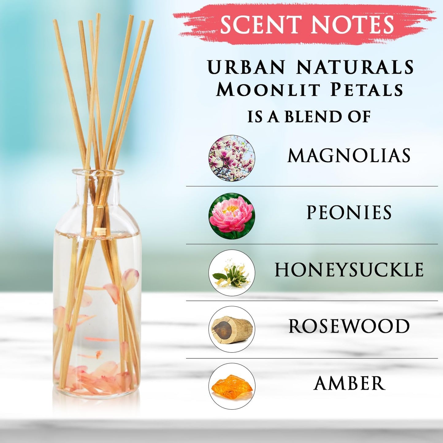 Urban Naturals Smoked Vanilla Reed Diffuser Set with Vanilla Bean, Sandalwood & Leather | Made in the USA - Colors B