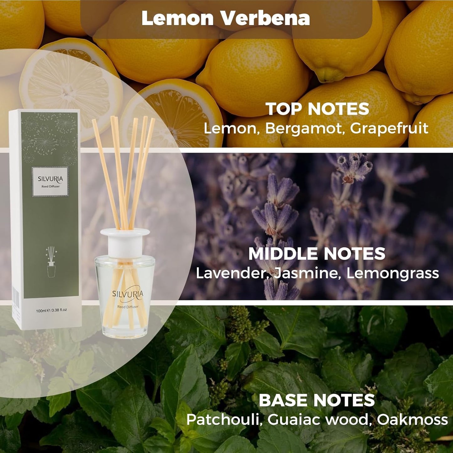 Reed Diffuser Set,100ml Fresh Linen Scented Oil with 6 Reed Sticks for Home,Office & Bathroom,Long-Lasting Fragrance for Families,Professionals & Pet-Friendly Spaces