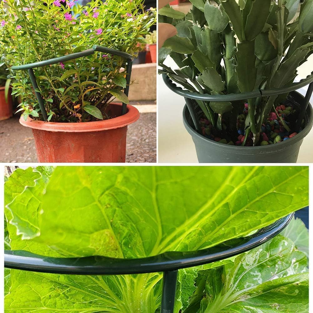 Mwellewm 10 Pack Plant Support Plant Stakes Metal Half Round Search Support Ring Small Plastic Cage Holder Short Stem Flower Pot Climbing Trellis for House Flower Vegetable Indoor Leafy(5.7 x 5.9nch)