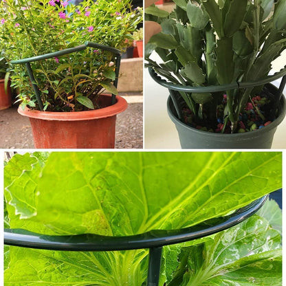 Mwellewm 10 Pack Plant Support Plant Stakes Metal Half Round Search Support Ring Small Plastic Cage Holder Short Stem Flower Pot Climbing Trellis for House Flower Vegetable Indoor Leafy(5.7 x 5.9nch)