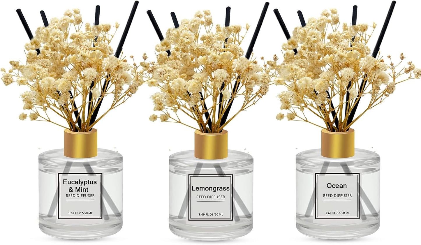 Reed Diffuser Set of 3 Pack,Clean Linen,Eucalyptus & Mint,Ocean Scented Oil Diffuser with 4 Sticks,Reed Diffusers for Home,Living Room,Bathroom Air Freshener Diffuser,50ml x 3