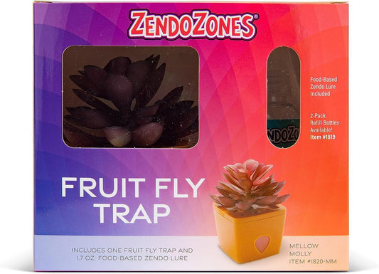 ZendoZones Succulent Fruit Fly Trap – Mellow Molly Design with Terracotta Base – Eco-Friendly Indoor Fruit Fly Control – Easy-to-Use Decorative Trap
