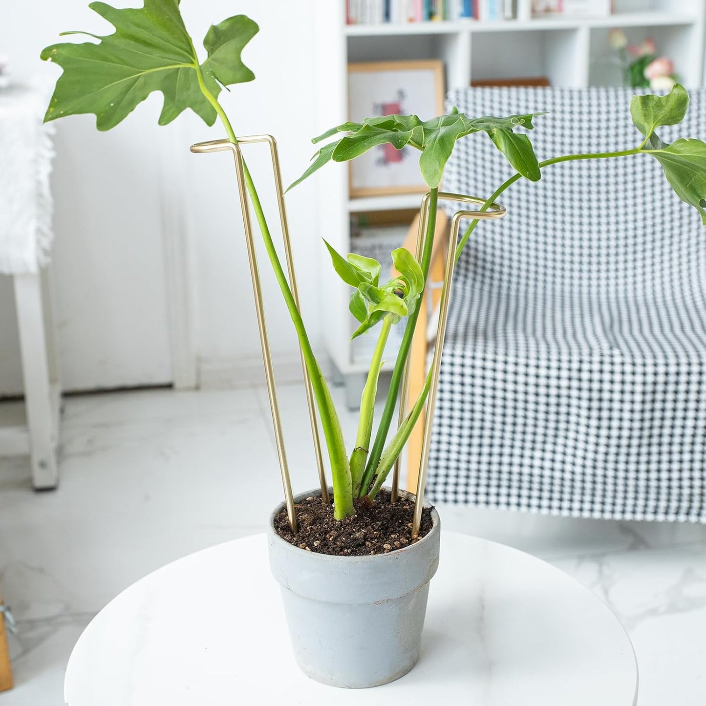 10 Pack Indoor Plant Support for Monstera Trellis Stakes and Stem Holder - Perfect for Small Indoor Plants, Desktop Gardens & Flower Shelf Use, Easy to Set Up and Efficient Support