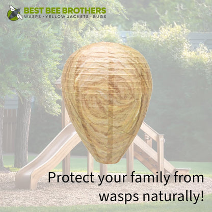 Best Bee Brothers Wasp Nest Decoy, 2 Pack | Collapsible, Fake Wasp Nest, Deterrent for Wasps and Yellowjackets