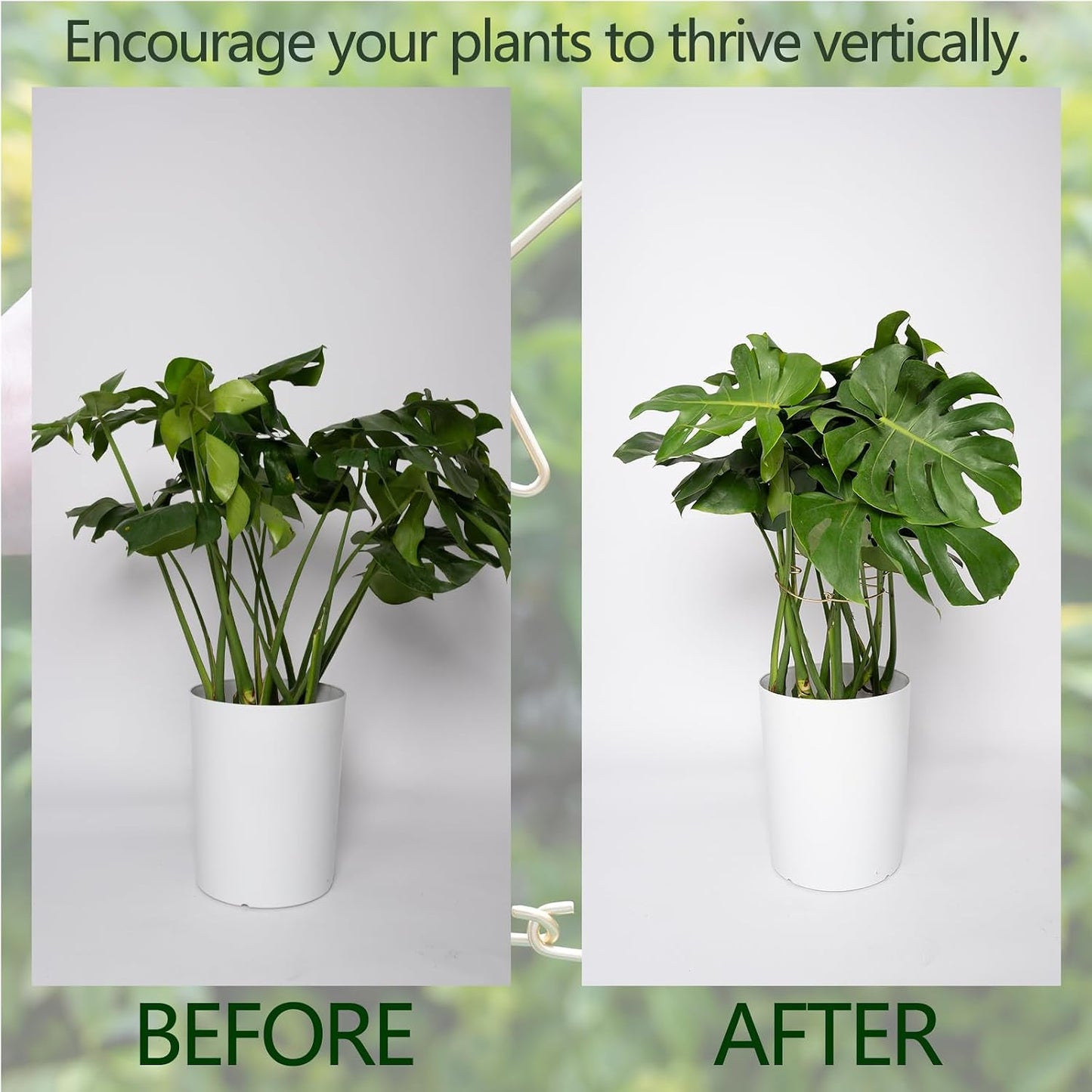 5PCS Monstera Plant Stem Support Stakes - 5.5 * 5.5IN Metal Supports for Monstera and Fishbone Cactus, Sturdy Frame, Easy Installation, Flexible Protection for Healthy Growth Indoors