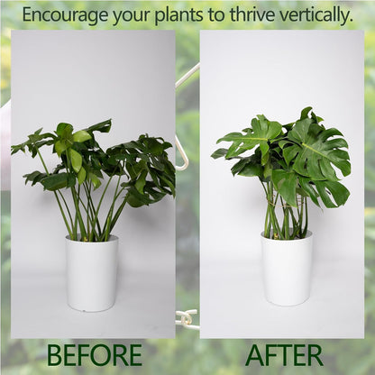 5PCS Monstera Plant Stem Support Stakes - 5.5 * 5.5IN Metal Supports for Monstera and Fishbone Cactus, Sturdy Frame, Easy Installation, Flexible Protection for Healthy Growth Indoors