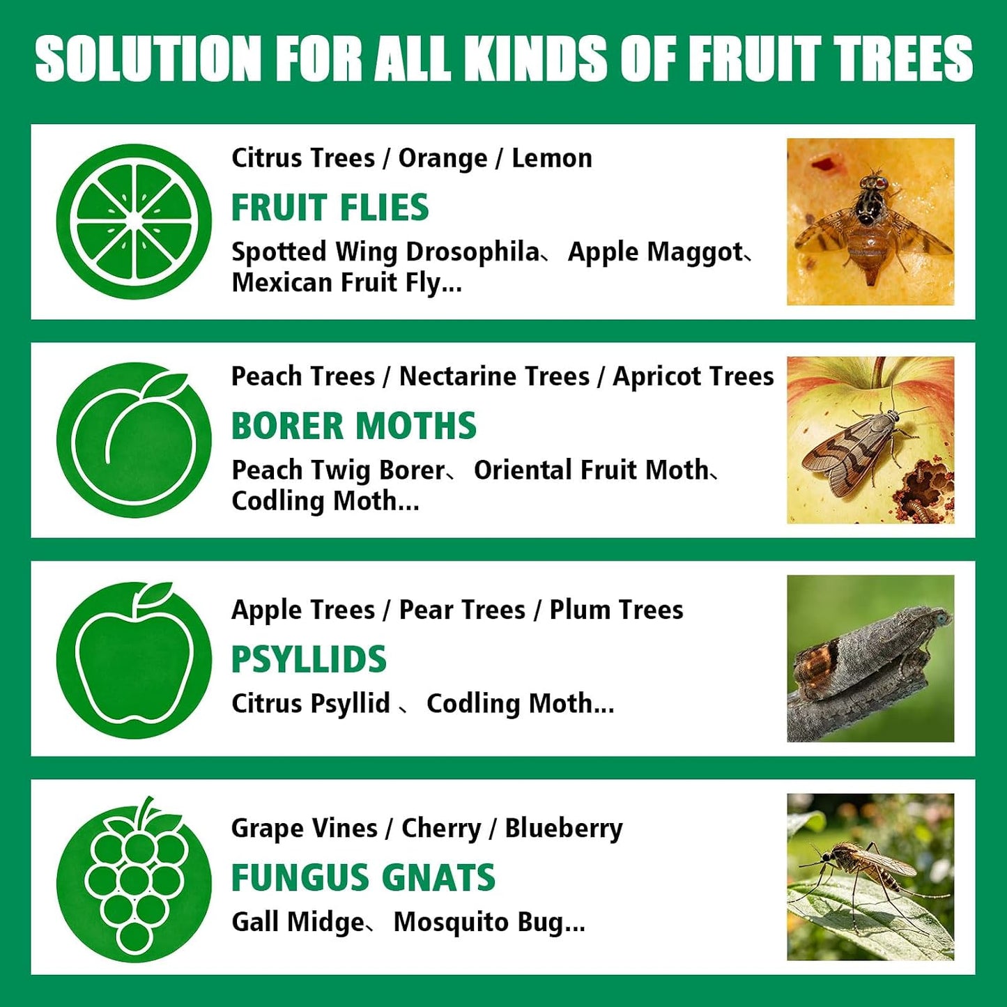 Sticky Insect Trap Ball Osseph Fruit Fly Trap Balls for Indoor Outdoor | Physical Sticky Hanging Bug Ball Catches Flie Gnat Mosquitoe Flying Insects 6pack (Green)