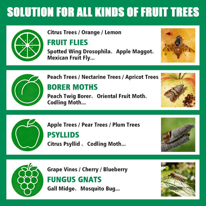 Sticky Insect Trap Ball Osseph Fruit Fly Trap Balls for Indoor Outdoor | Physical Sticky Hanging Bug Ball Catches Flie Gnat Mosquitoe Flying Insects 6pack (Green)