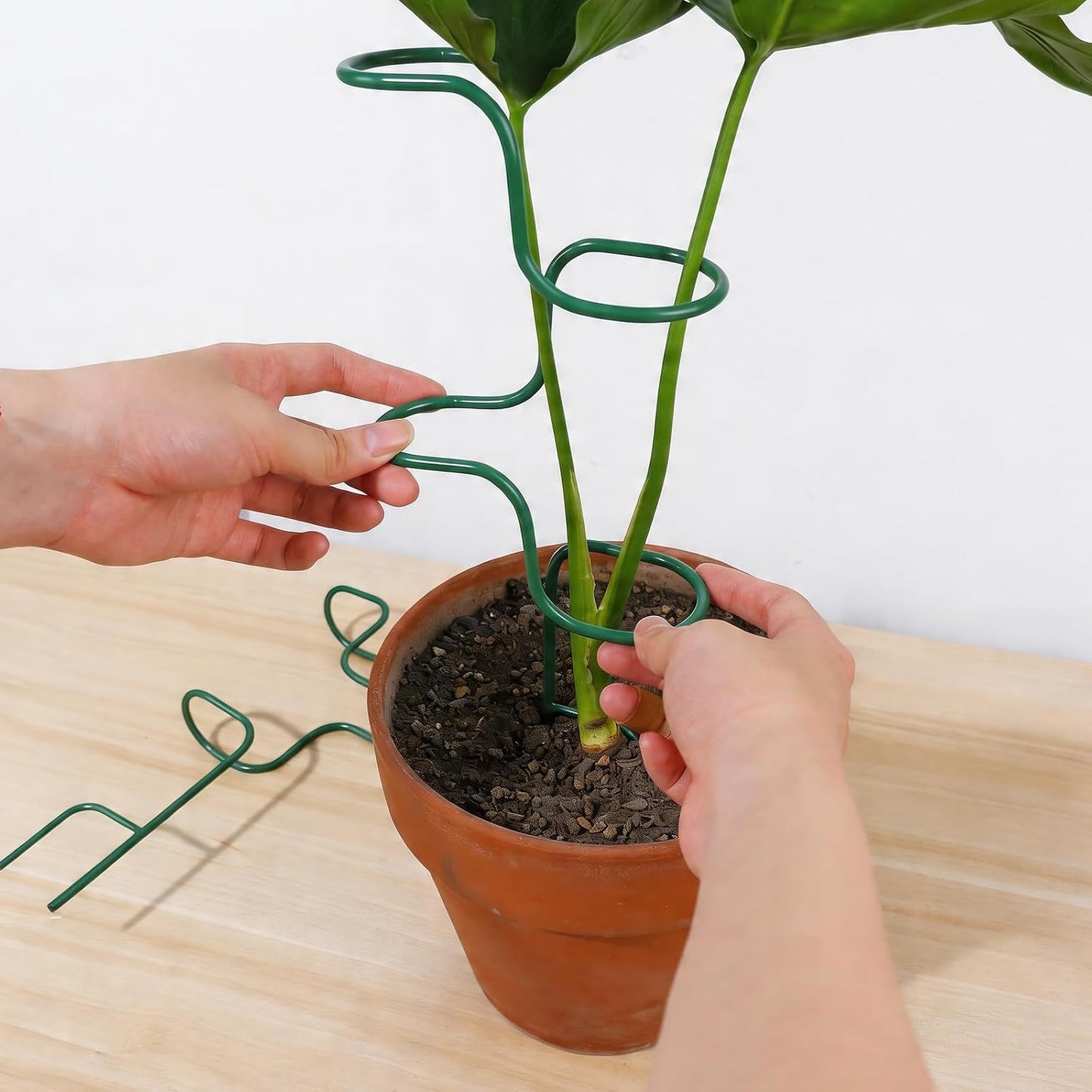 3PCS Indoor Plant Support – Durable Metal Garden Stakes for Monstera, Flowers & Herbs – 12.6 Inch Trellis for Indoor & Outdoor Plants, Easy-to-Use Support Structures