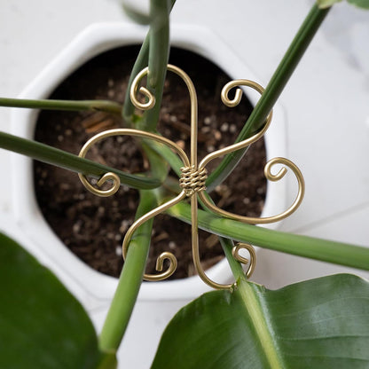 5PCS Monstera Plant Stem Support Stakes - 5.5 * 5.5IN Metal Supports for Monstera and Fishbone Cactus, Sturdy Frame, Easy Installation, Flexible Protection for Healthy Growth Indoors