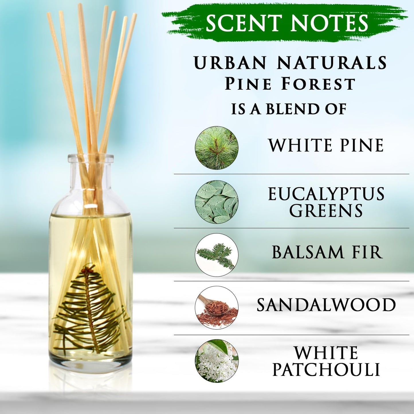 Urban Naturals Smoked Vanilla Reed Diffuser Set with Vanilla Bean, Sandalwood & Leather | Made in the USA - Colors A