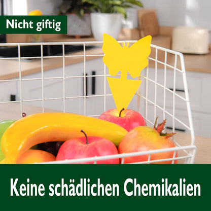 Garsum 36 Pack Fungus Gnat Traps Sticky Fruit Fly Trap Killer for Kitchen Indoor and Outdoor, Insect Fly Traps for House Plants, Whitefly, Mosquito Bits, Flying Insects