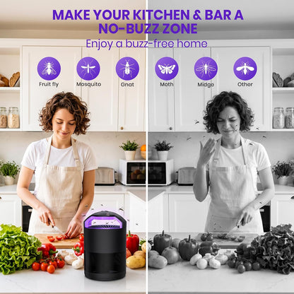 Fruit Fly Traps for Indoors, Catcher & Killer, Indoor Insect Trap | Upgraded Purple Light, Odorless & Quiet, 3-Speed Fan Suction for Gnats & Mosquitoes in Kitchen, Home, and Plants