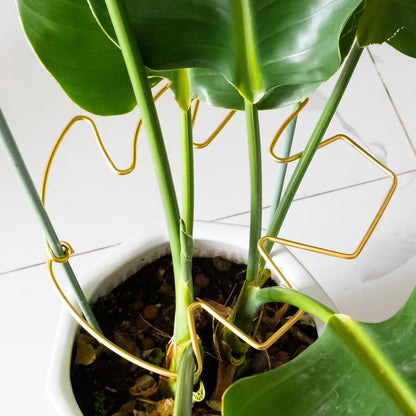 5PCS Monstera Plant Stem Support Stakes - 5.5 * 5.5IN Metal Supports for Monstera and Fishbone Cactus, Sturdy Frame, Easy Installation, Flexible Protection for Healthy Growth Indoors