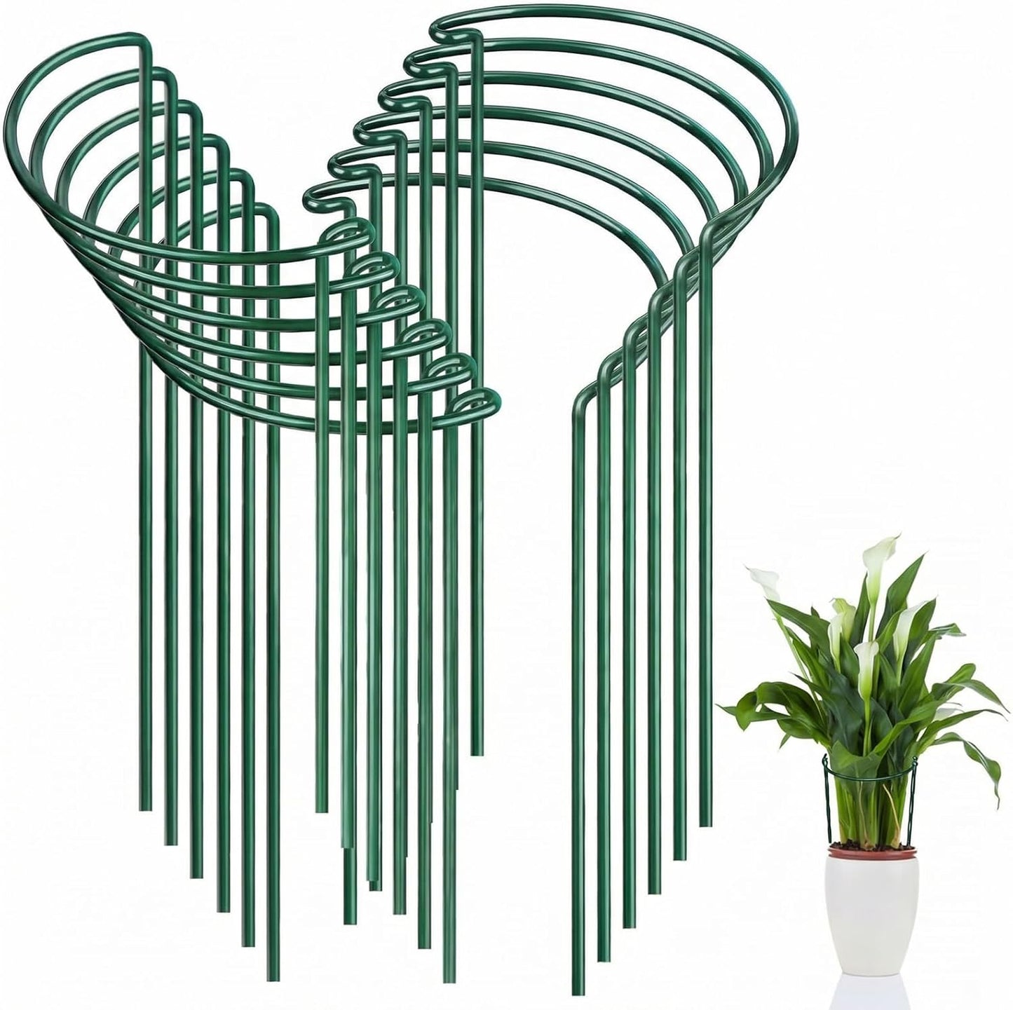 FEED GARDEN 8 Pack Peony Cages and Supports, Plant Support Stakes for Outdoor & Indoor Plants, 10" W x 16" H Half Round Garden Plant Support Rings for Peonies, Hydrangeas, Roses, Dahlias