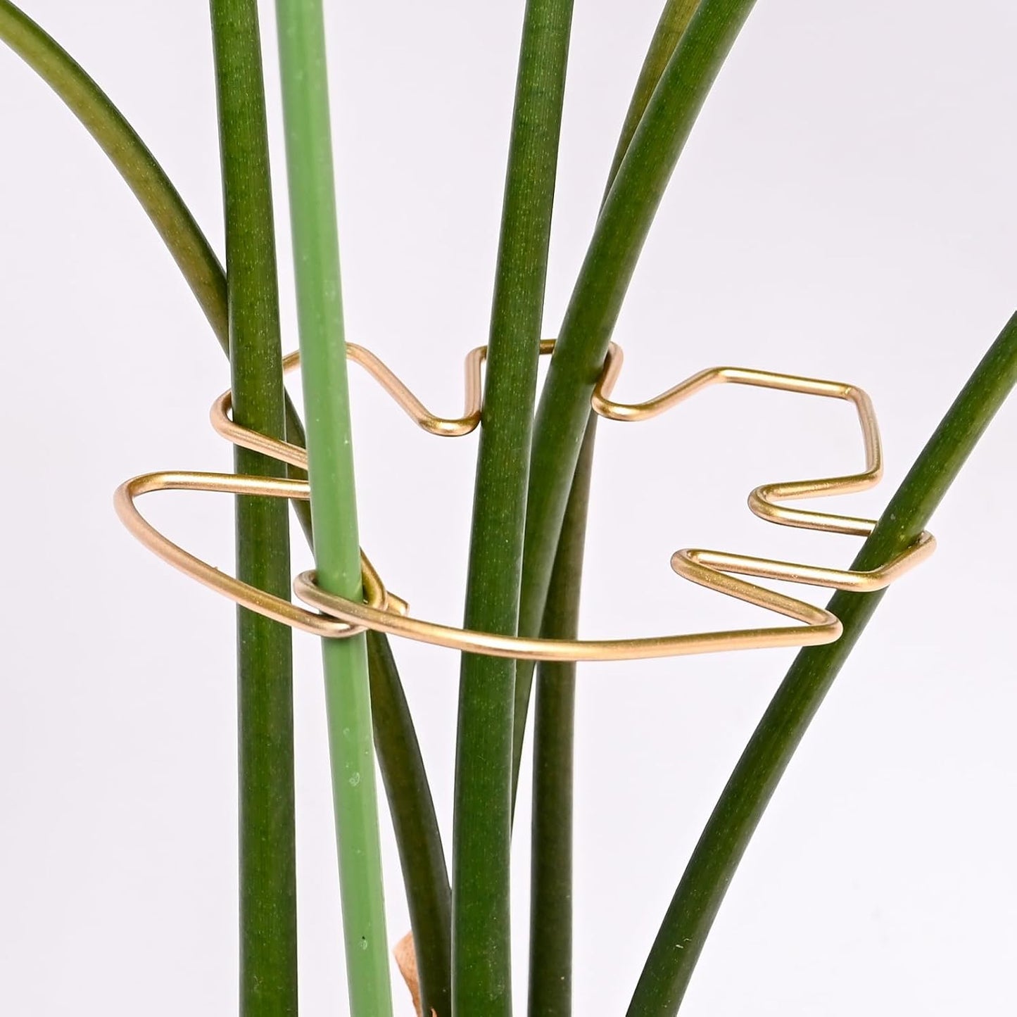 5PCS Monstera Plant Stem Support Stakes - 5.5 * 5.5IN Metal Supports for Monstera and Fishbone Cactus, Sturdy Frame, Easy Installation, Flexible Protection for Healthy Growth Indoors