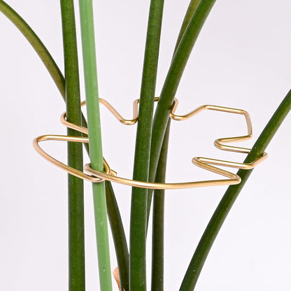 5PCS Monstera Plant Stem Support Stakes - 5.5 * 5.5IN Metal Supports for Monstera and Fishbone Cactus, Sturdy Frame, Easy Installation, Flexible Protection for Healthy Growth Indoors